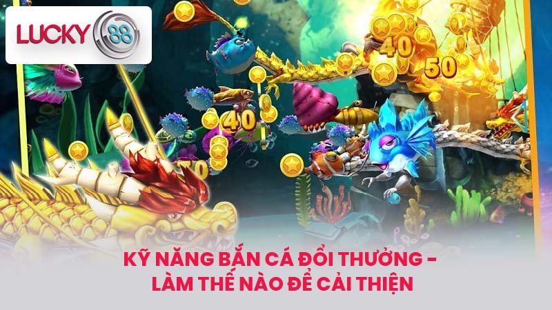 Kỹ Năng bắn cá đổi thưởng - Làm Thế Nào Để Cải Thiện