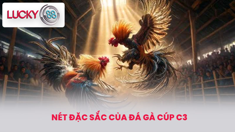 Nét đặc sắc của Đá gà cúp c3